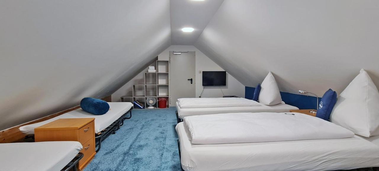 Donau-Hotel Sinzing المظهر الخارجي الصورة