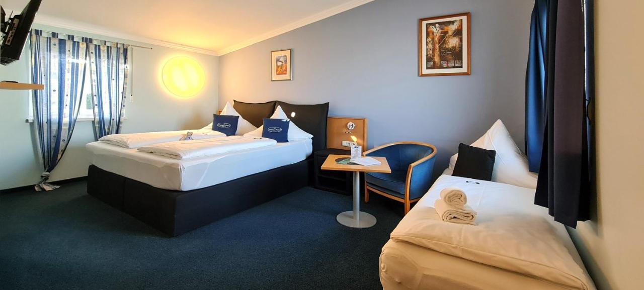 Donau-Hotel Sinzing المظهر الخارجي الصورة