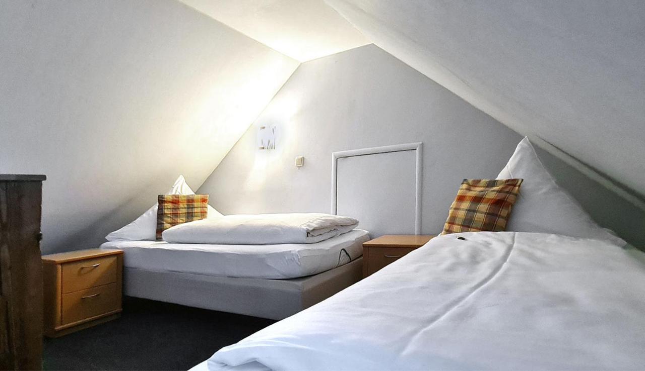 Donau-Hotel Sinzing المظهر الخارجي الصورة